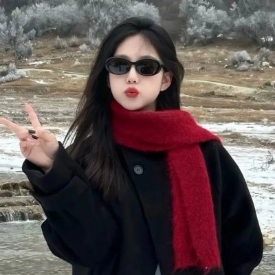 壳中少女 排气